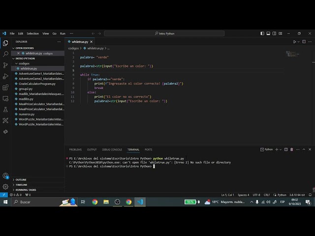 Usar bucle While True  | programación Python | Visual Studio Code