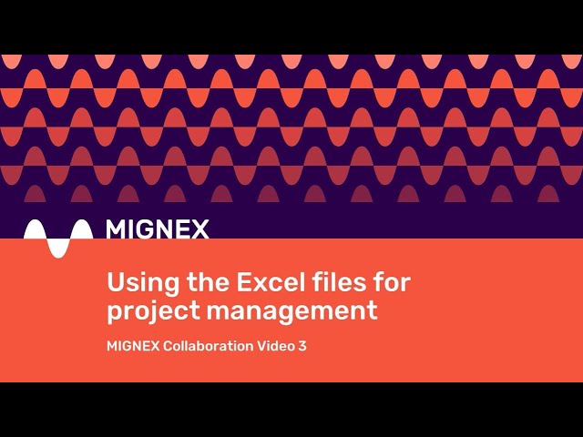 MIGNEX Collaboration Video 3 - Using the Excel files for project management