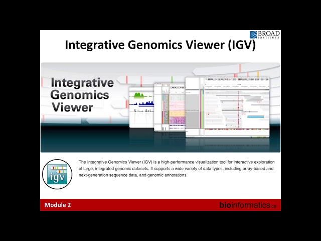 Genome Visualization