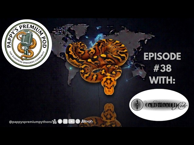 E38: Mastering the Clown morph – Tommy Leuschner from Cold Blooded Arts 🇩🇪🎨