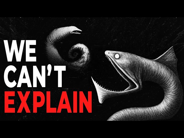 Why Eels get Creepier the Deeper you Go