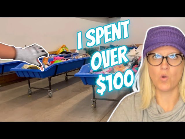 I Spent over $100 at the Goodwill Bins Items to Flip for Profit