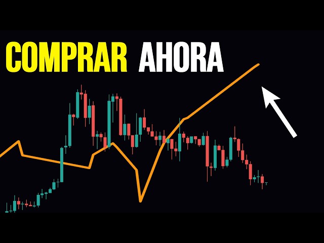 A Last-Minute Signal Triggers the Altcoin Market