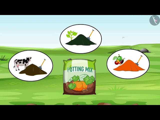 Crop Improvement | Part 1/1 | English | Class 9