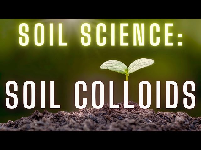 Soil Colloids: What Are They?
