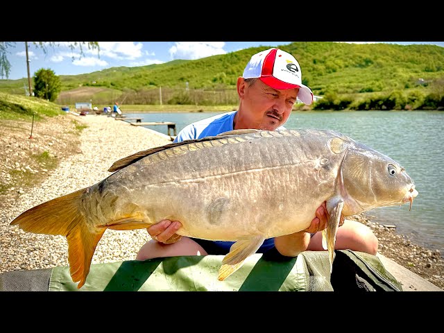 Carp and Cteni at the method! Short wading game!!!!