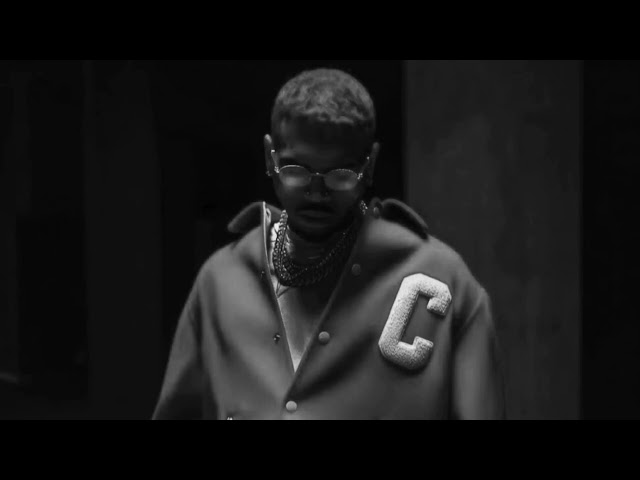 Chris Brown - Transparency (Extended)
