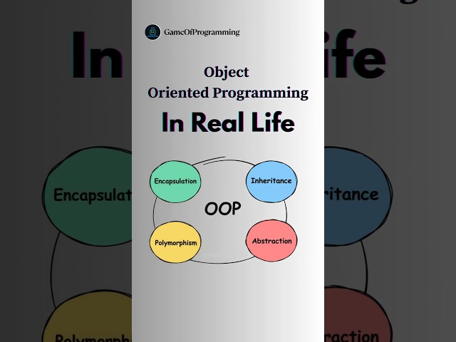OOP in Real life 👨‍💻#coding #oop #programming #trending #music #shorts #codinglife