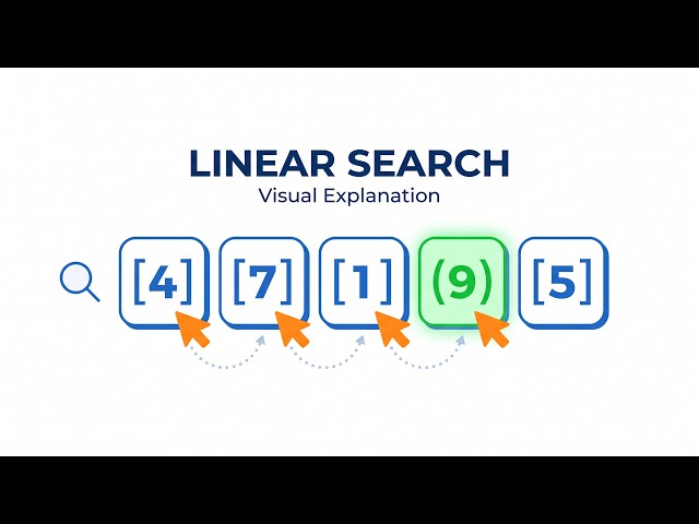 Linear Search Explained Visually | Learn DSA Through Animation