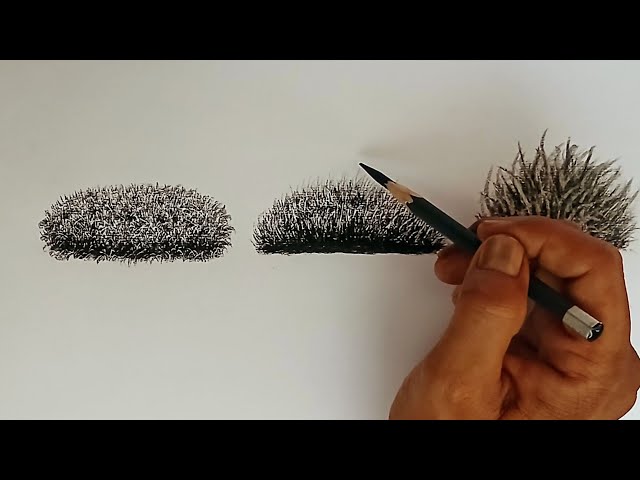 3 Types of Realistic Grass Drawing with Pencil | Easy Grass Texture Tutorial for Beginners.