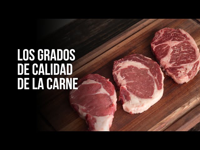 Learn about the quality grades of the meat (Ft. Grill House + Certified Angus Beef® brand)