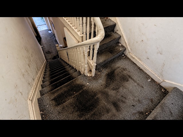 I Found A Home Left Completely Neglected By Tenants...