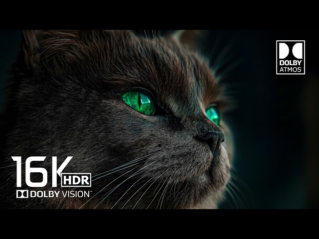 Most Insane 16K Video ULTRA HD 120fps | Dolby Vision Nature Video (8K/4K Video TV)