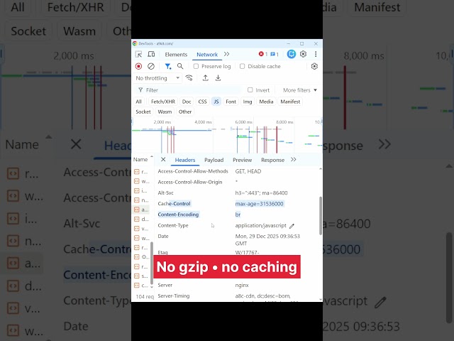 Slow Load React App? Server Issue #frontend #react