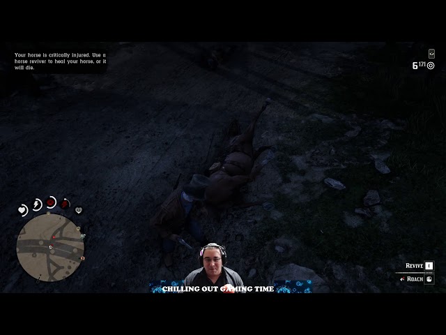 Red Dead 2 Fun Times
