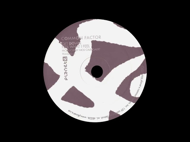 Common Factor - Expanded (Planet E, 1998)
