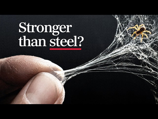Is spider web really stronger than steel?