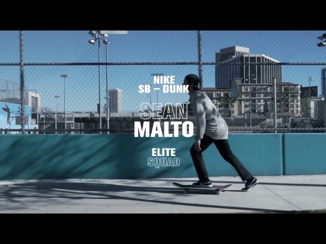 Nike SB Sean Malto Elite Squad 1