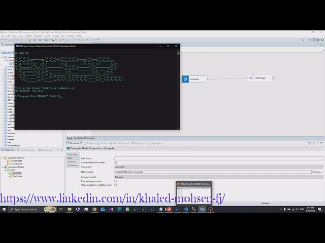 Switching Data Sources at Runtime Without Redeployment in IBM App Connect (ACE)
