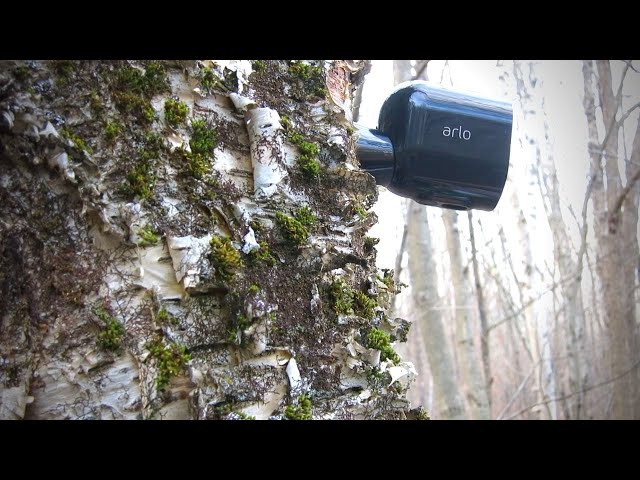 Arlo Pro 4 Security Cameras: Unboxing | Setup | First Impression