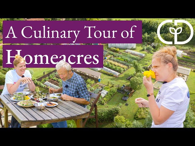 Creative picking and cooking with one of the UK’s most exciting chefs, Chantelle Nicholson