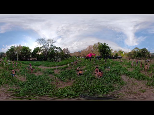 Costas Verdes - Tree Planting at Envision Festival [360 video]