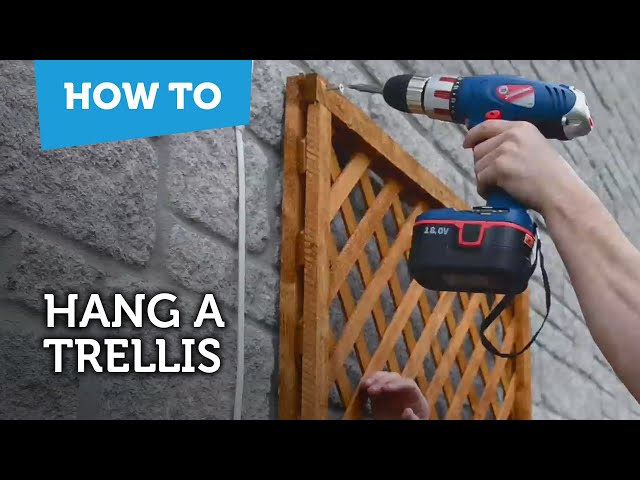 How to Fix a Trellis on a Stone or Brick Wall