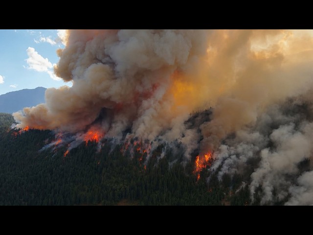 🚨 BC Wildfire Update | 44% of Fires Out of Control, Evacuations Expand