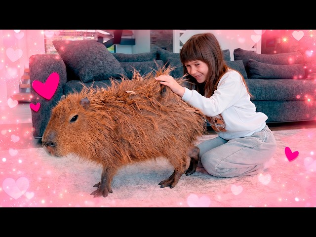 El cepillo para el capibara