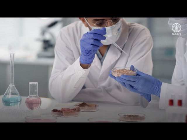 The safety of food products from precision fermentation