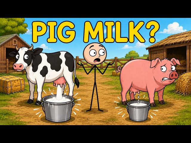 Why Don't Humans Drink Pig Milk?