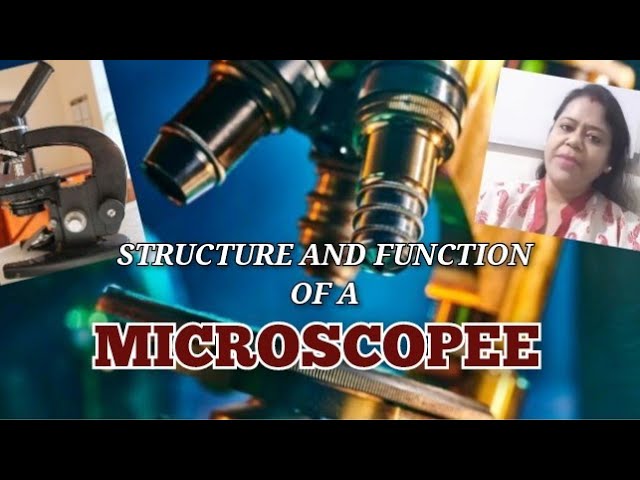 Microscope || Structure and function of microscope || Parts of a microscope