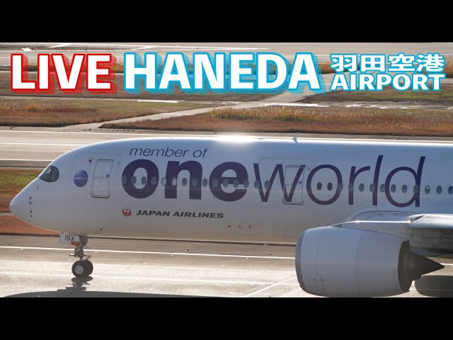 🔶LIVE📡 '25/12/16 羽田空港 T1 HANEDA INTERNATIONAL AIRPORT  plane spotting