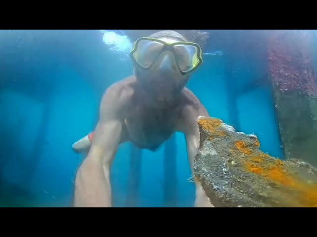 OceanWalls 360VR sample test Gavutu Island Clown Fish