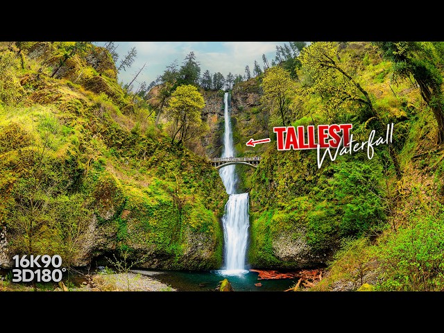 Multnomah Falls in VR180 | 5-Minute Immersive Nature Meditation