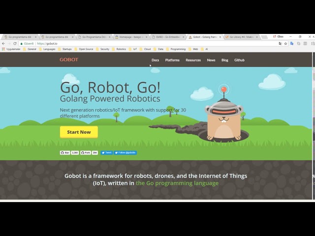 Go Programlama : Bazı Go Kütüphaneleri