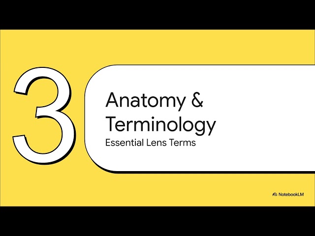 Class 10 Physics Chapter 13 | Thin Lenses Explained