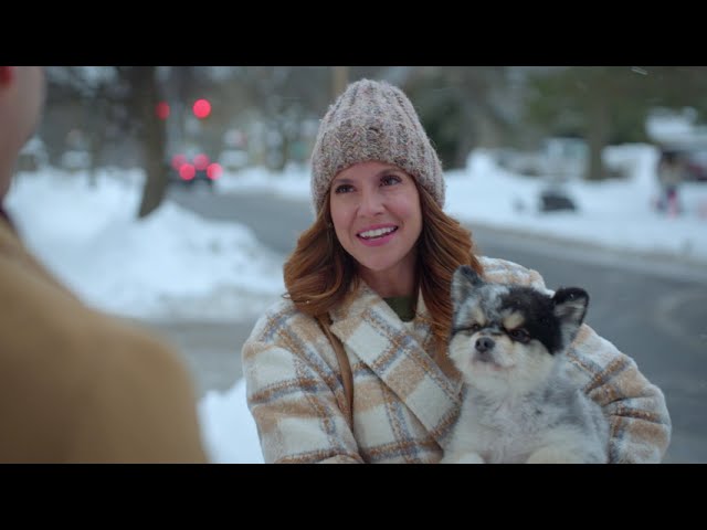 A Royal Christmas Tail (2025) | Trailer | Brittany Underwood, Jonathan Stoddard