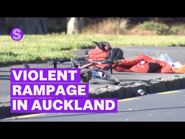 Three students hospitalised, woman injured, dog killed in violent Auckland rampage | Stuff.co.nz