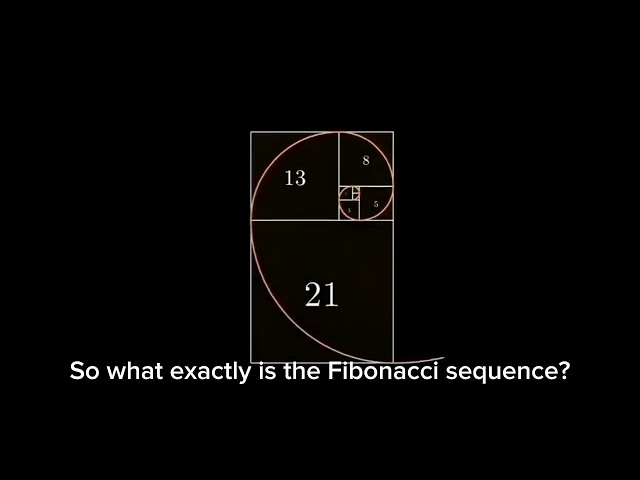 THE MIRACLE OF FIBONACCI IN BEE REPRODUCTION - FIBONACCI SEQUENCE EXPLAINED SIMPLY