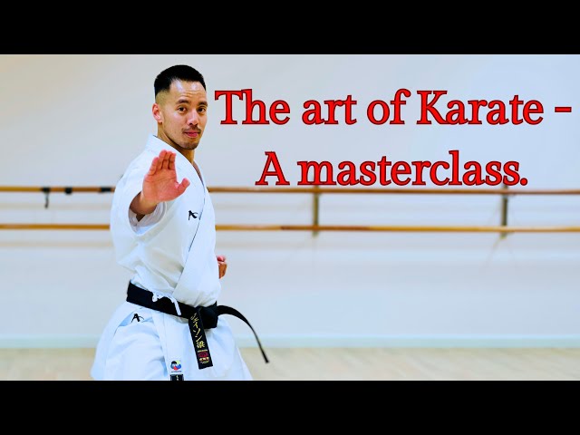 Black Belt Karate Techniques 🥋⛩