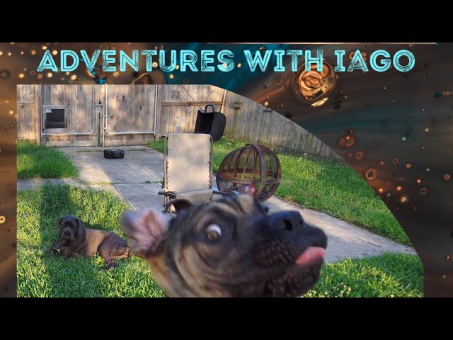 360 (4K) Iago Ventures out to Discount Tire store