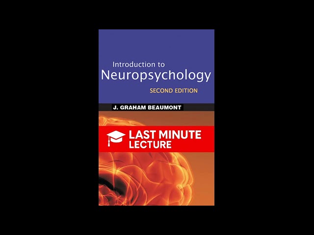 Split Brains and Dual Minds | Chapter 10