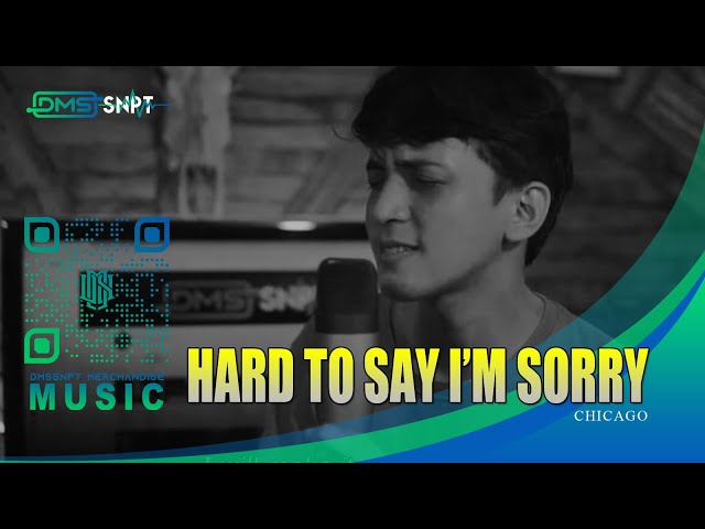 Chicago - Hard To Say I'm Sorry (Acoustic Cover)