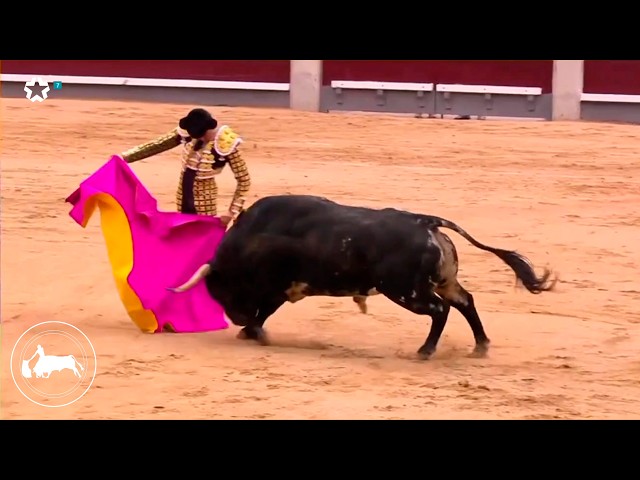 Andrés Roca Rey, first bull, San Isidro Fair, Beneficencia Bullfight, Madrid 06/14/2026