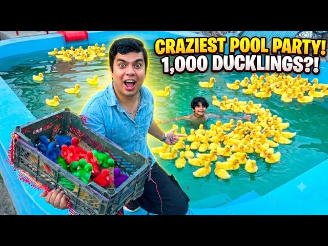 Swimming Pool Ko Duck's Sy Bhar Dia😍 - Mini Zoo 