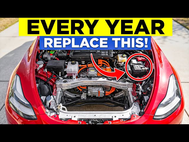 The ONLY Tesla Maintenance Schedule You'll Ever Need (Save Thousands)