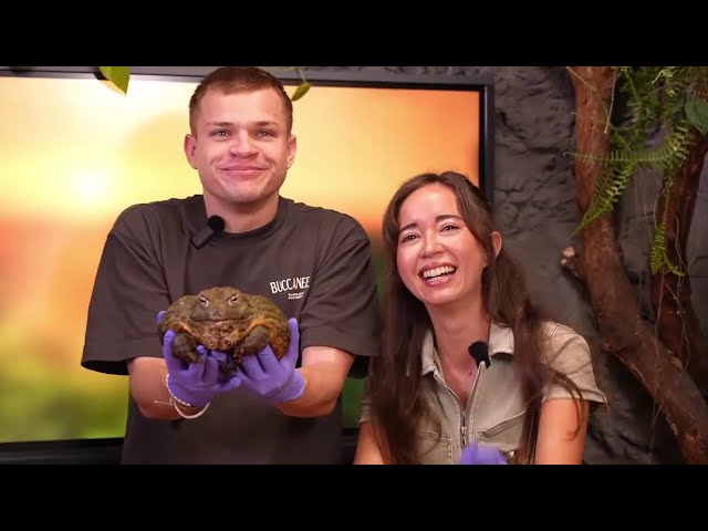 @Jynxzi  MEETING ANIMALS @AlveusSanctuary  🦜