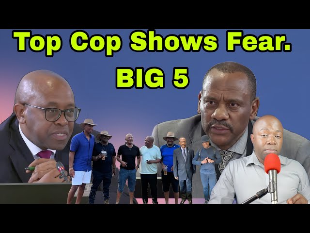 Madlanga Pushes Hard while a Police is afraid of alleged Big 5. A nation without Heroes.
