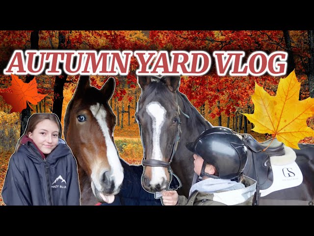 AUTUMN YARD VLOG TAKING OUR YOUNGSTERS OUT HACKING !!